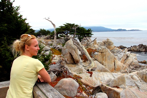 ��������� ����������